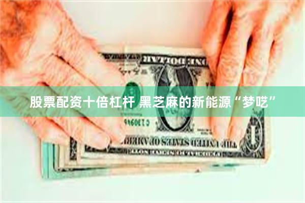 股票配资十倍杠杆 黑芝麻的新能源“梦呓”