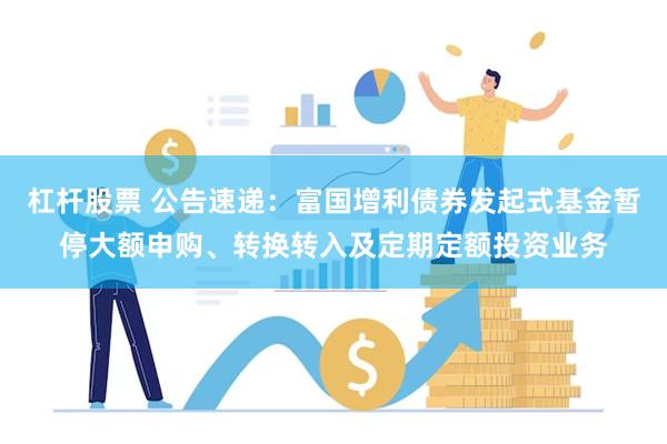 杠杆股票 公告速递：富国增利债券发起式基金暂停大额申购、转换转入及定期定额投资业务