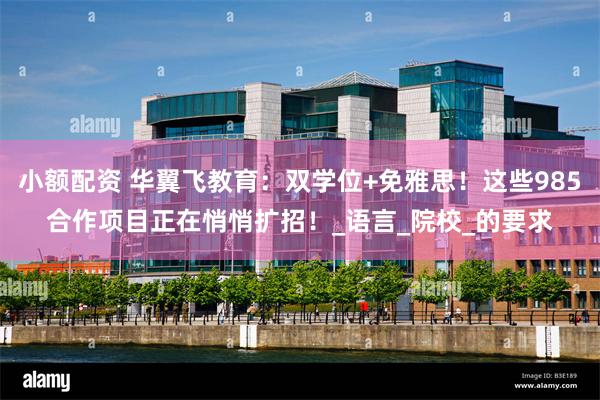 小额配资 华翼飞教育：双学位+免雅思！这些985合作项目正在悄悄扩招！_语言_院校_的要求