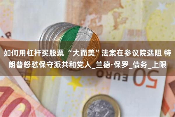 如何用杠杆买股票 “大而美”法案在参议院遇阻 特朗普怒怼保守派共和党人_兰德·保罗_债务_上限