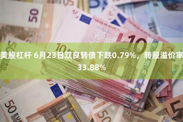 美股杠杆 6月23日双良转债下跌0.79%，转股溢价率33.88%