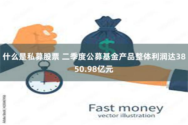 什么是私募股票 二季度公募基金产品整体利润达3850.98亿元