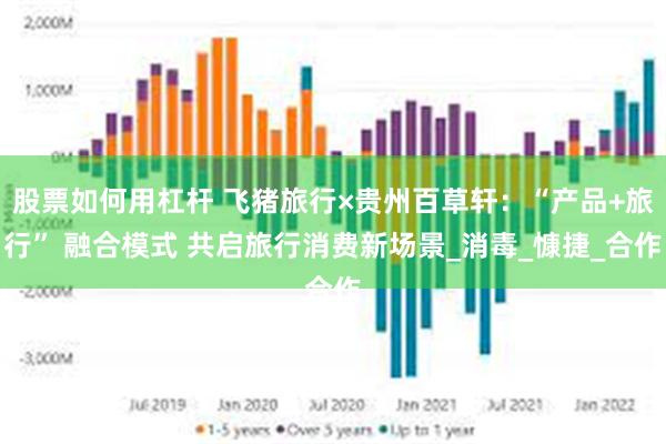 股票如何用杠杆 飞猪旅行×贵州百草轩：“产品+旅行” 融合模式 共启旅行消费新场景_消毒_慷捷_合作