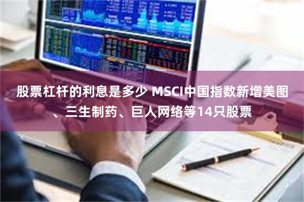 股票杠杆的利息是多少 MSCI中国指数新增美图、三生制药、巨人网络等14只股票