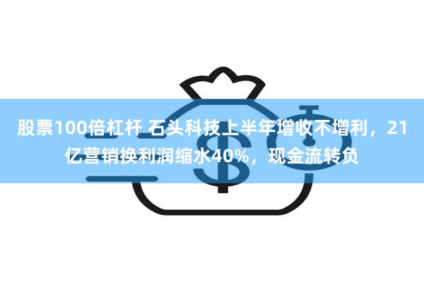 股票100倍杠杆 石头科技上半年增收不增利，21亿营销换利润缩水40%，现金流转负
